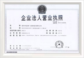 始于1998年的深圳市蓝色飞扬有限公司